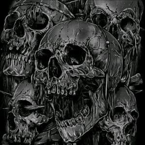 Meet your Posher, Shane